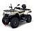 Квадроцикл Bizon YK450A