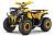 Квадроцикл WELS ATV Thunder Trail 200