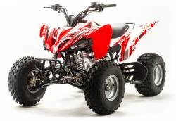 Квадроцикл MotoLand ATV 125S