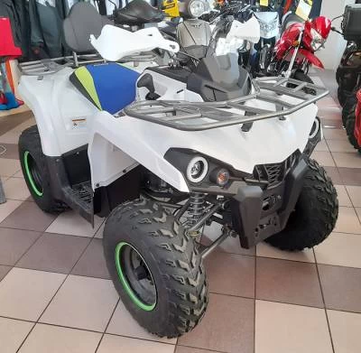 Квадроцикл MotoLand ATV Shark 200