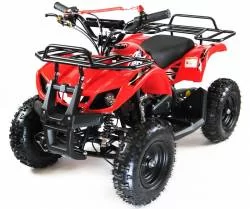 Квадроцикл MOTAX ATV Mini Grizlik X-16