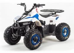 Квадроцикл подростковый MotoLand ATV EAGLE 110