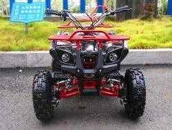 Квадроцикл детский MOTOLAND 50 MINI